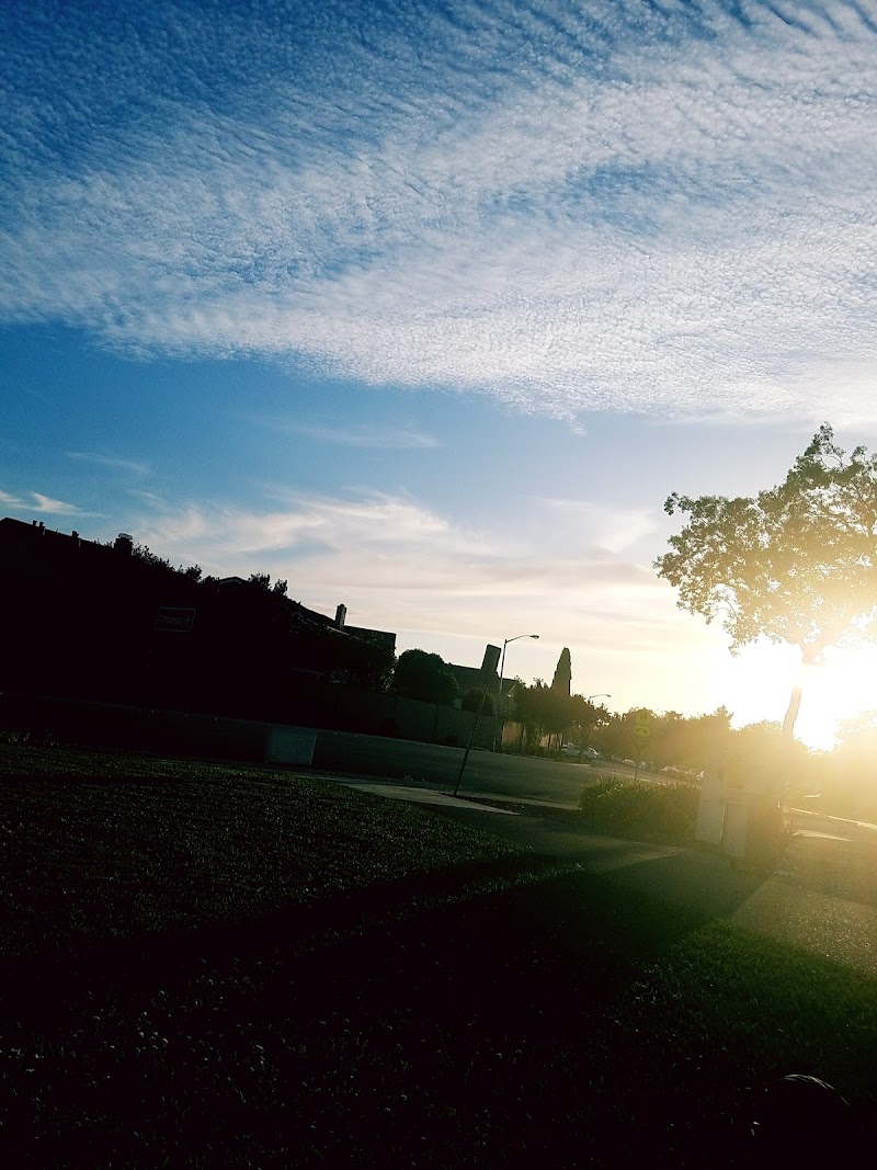 Mirabeau Park photo 5