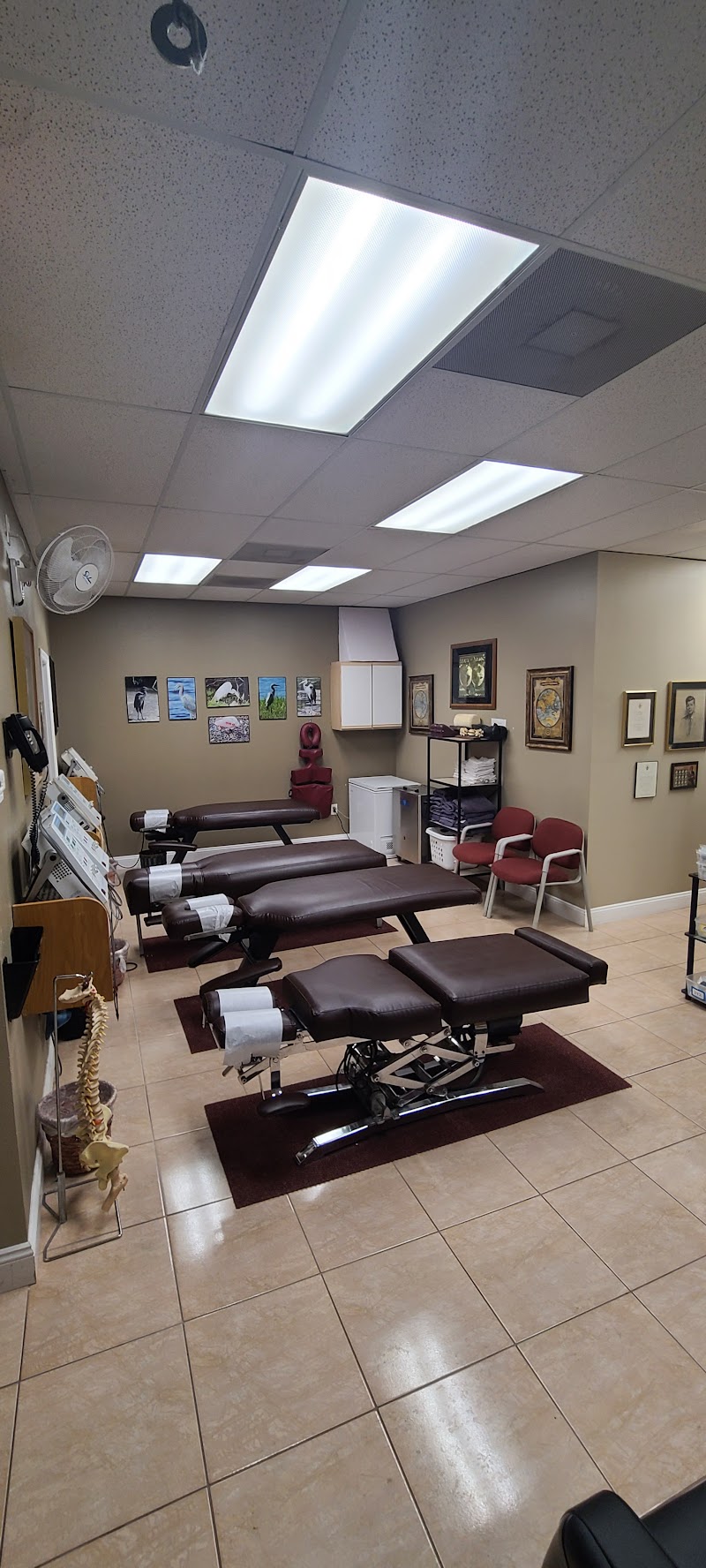 Photo of Gulfview Chiropractic & Wellness