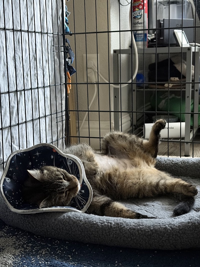 Russian River Veterinary Surgical Service photo 5