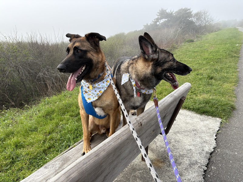 Russian River Veterinary Surgical Service photo 4