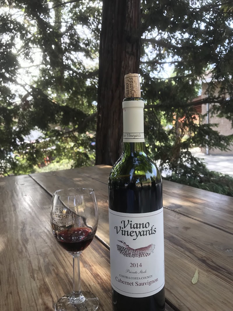 Viano Winery & Vineyards photo 3