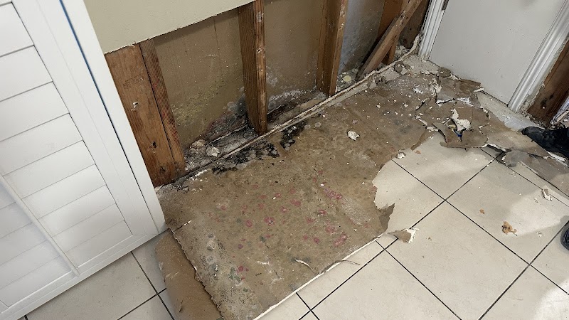 Servpro of North Fremont photo 3
