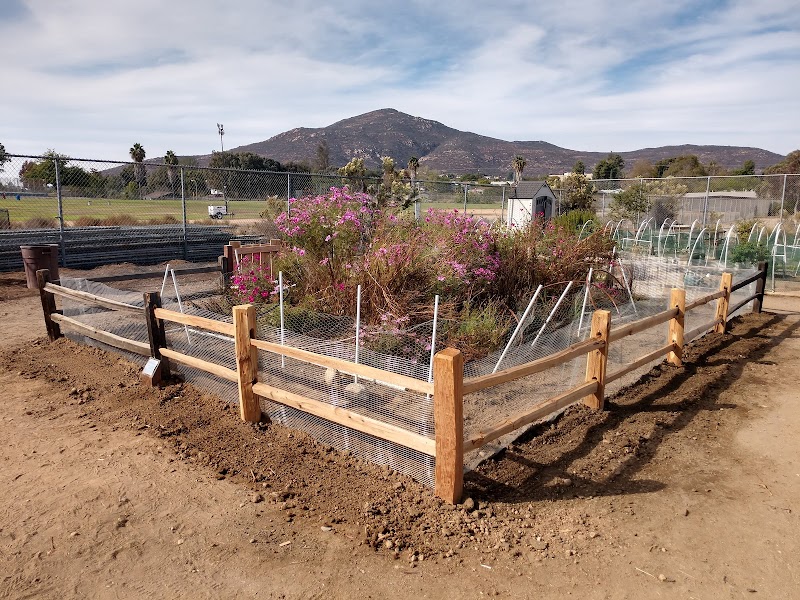 San Carlos Community Garden photo 2