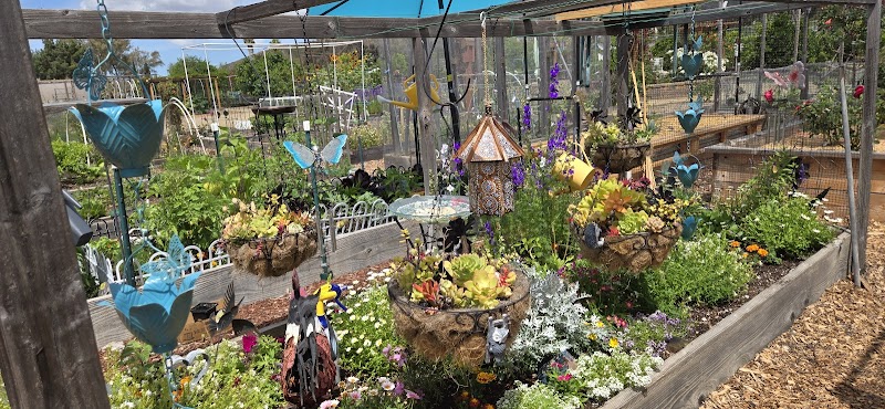 San Carlos Community Garden photo 4