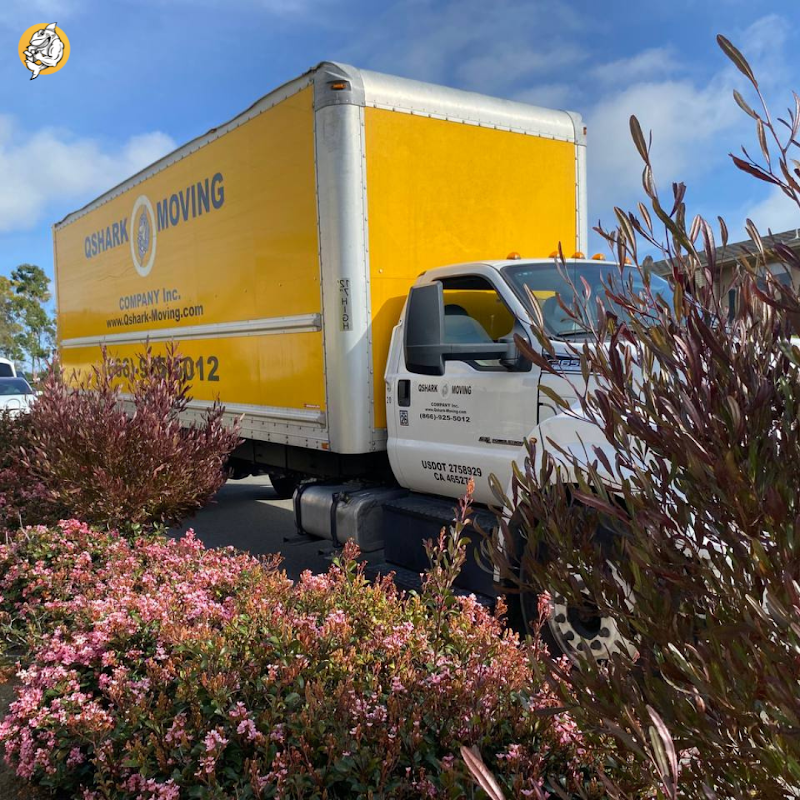 Qshark Moving Company photo 3