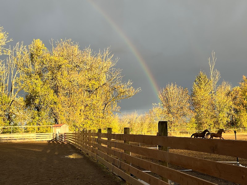 Territorial Farm Stay And Stable photo 5