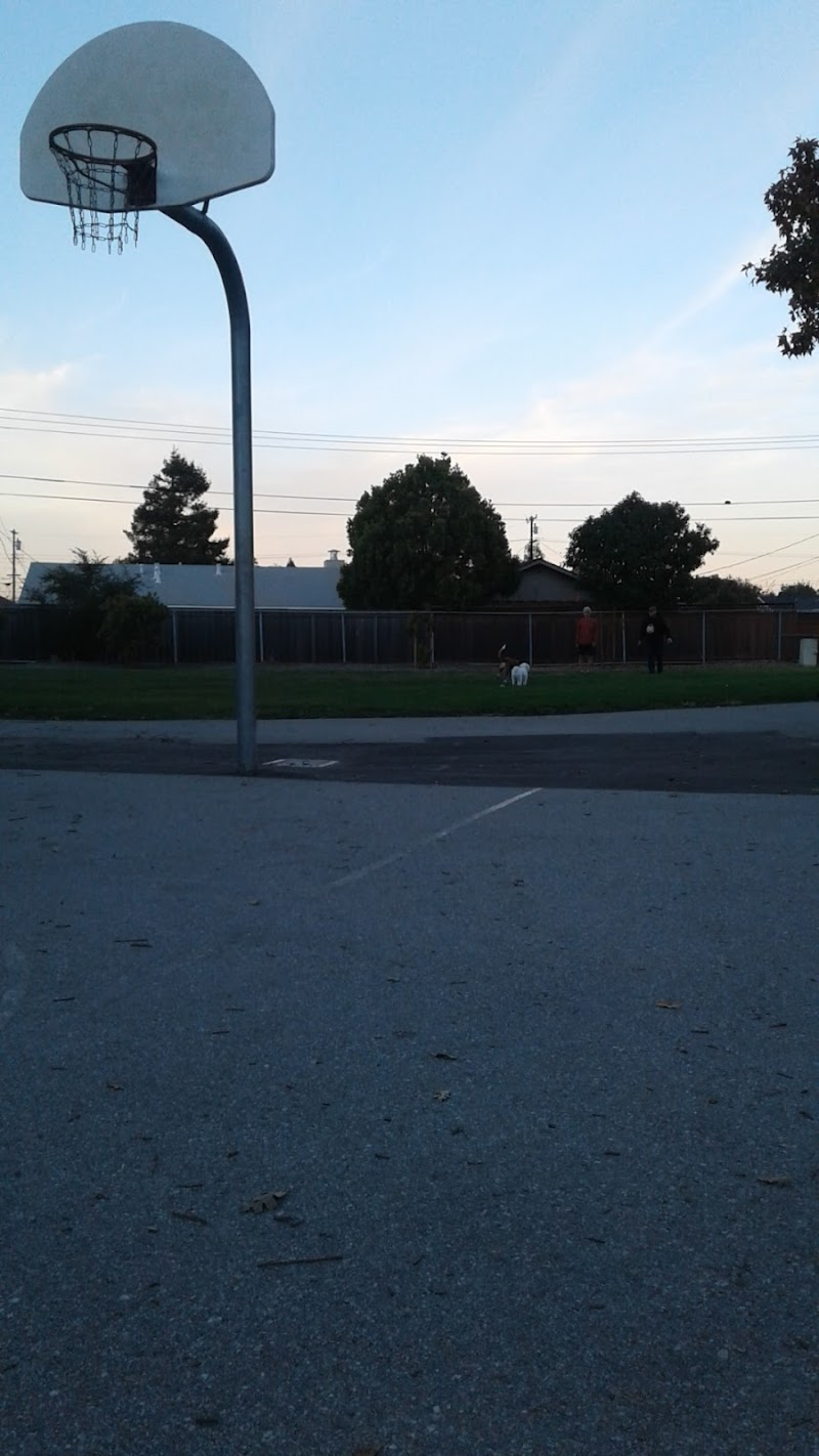 Alexander Park photo 4