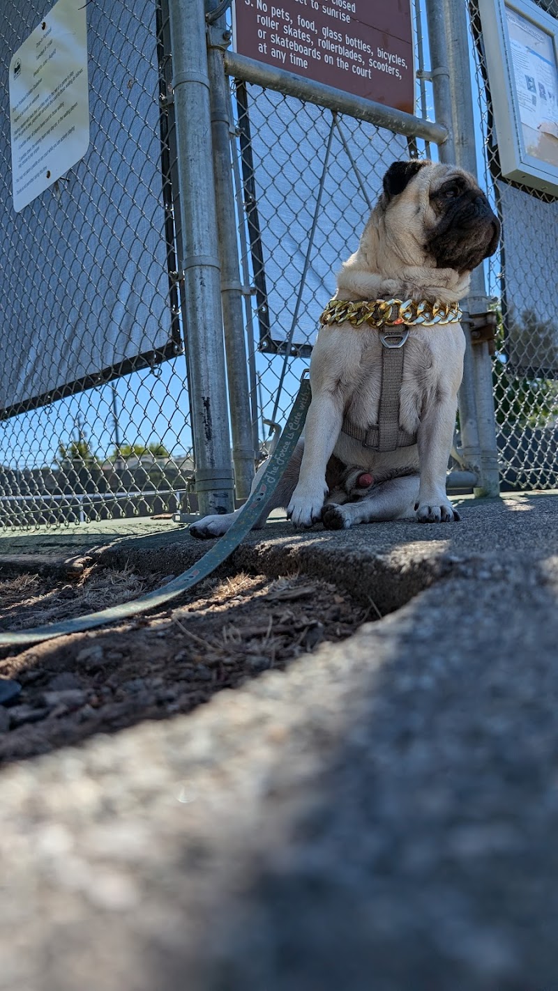 Alexander Park photo 5