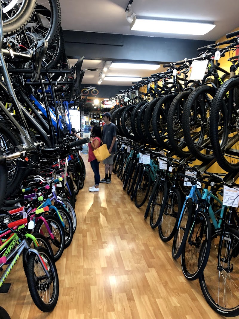 Clayton Bicycle Center photo 5
