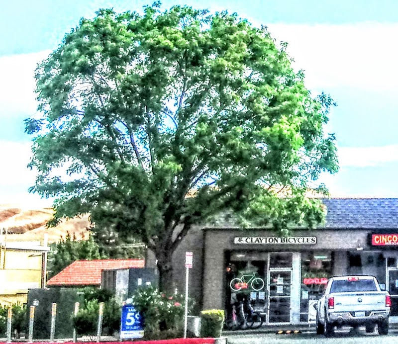 Photo of Clayton Bicycle Center