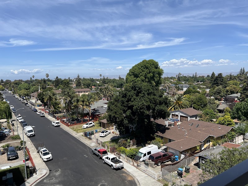 City of East Palo Alto photo 2
