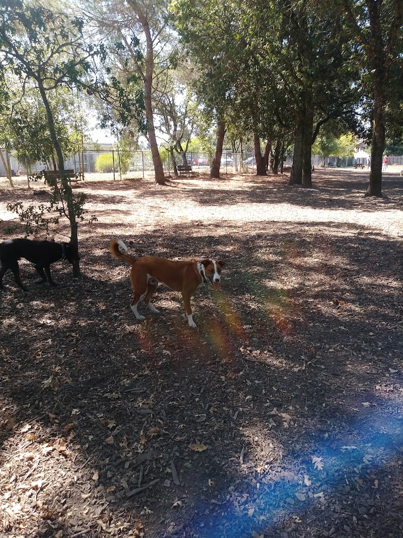 David Smith Memorial Park (Pleasant Oak Park) photo 4