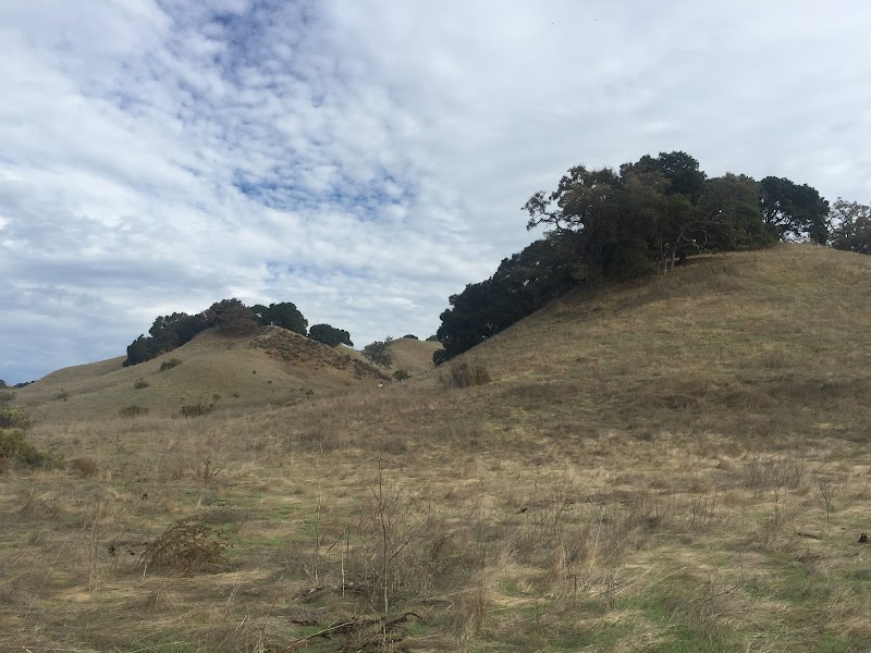 Photo of Briones Overlook Staging Area