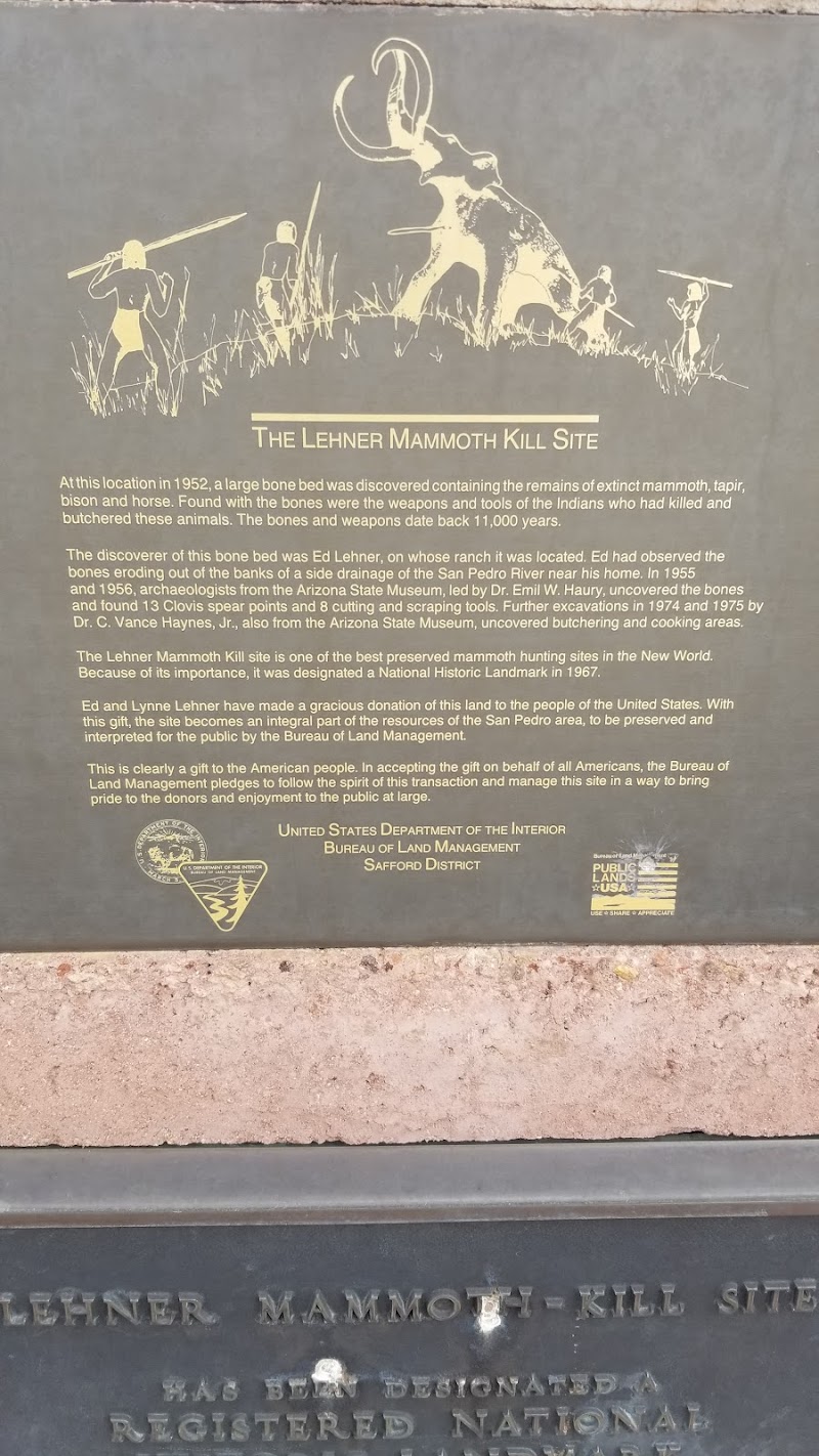 Lehner Mammoth Kill Site photo 2