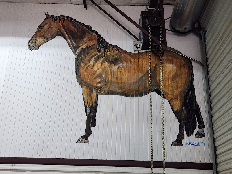 Photo of San Pedro Veterinary Service, PLC
