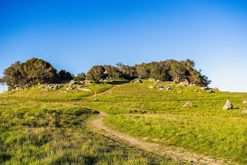 Ring Mountain Preserve photo 4