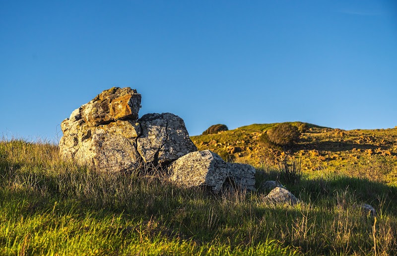 Ring Mountain Preserve photo 5