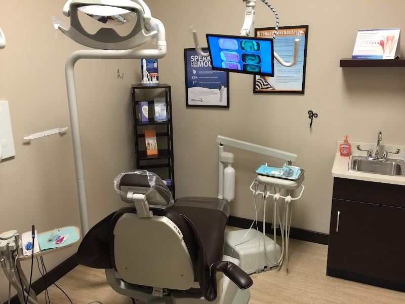 Bay Arbor Dental Care photo 4