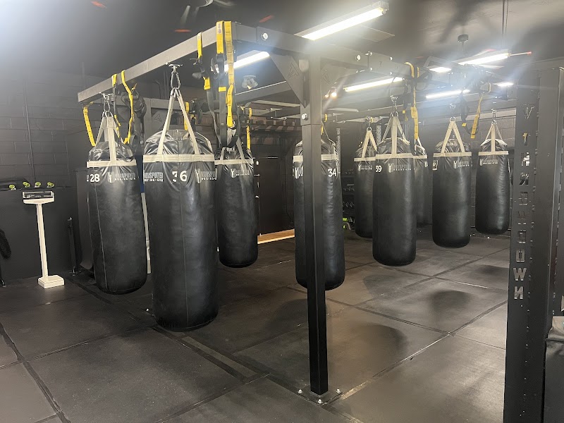 Los Gatos Boxing photo 4