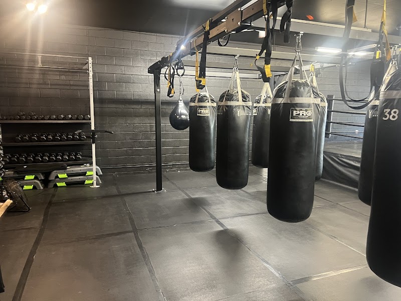 Photo of Los Gatos Boxing