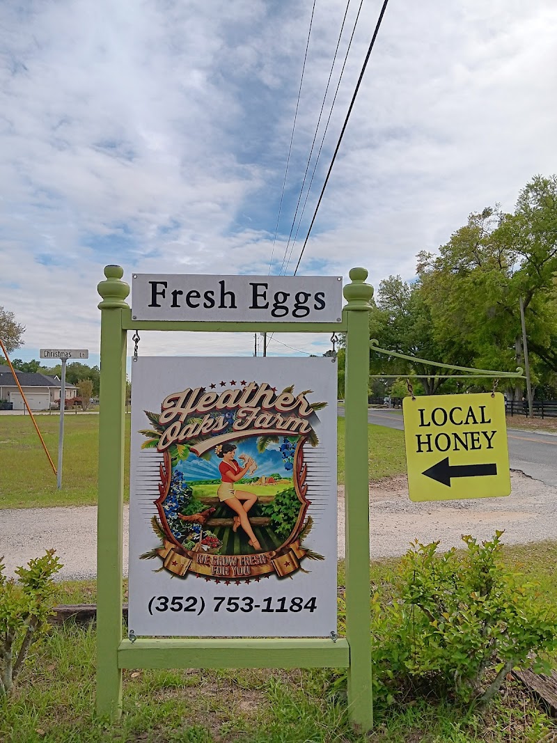 Heather Oaks Farm photo 5