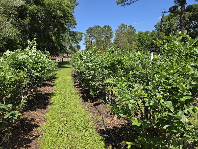 Heather Oaks Farm photo 3