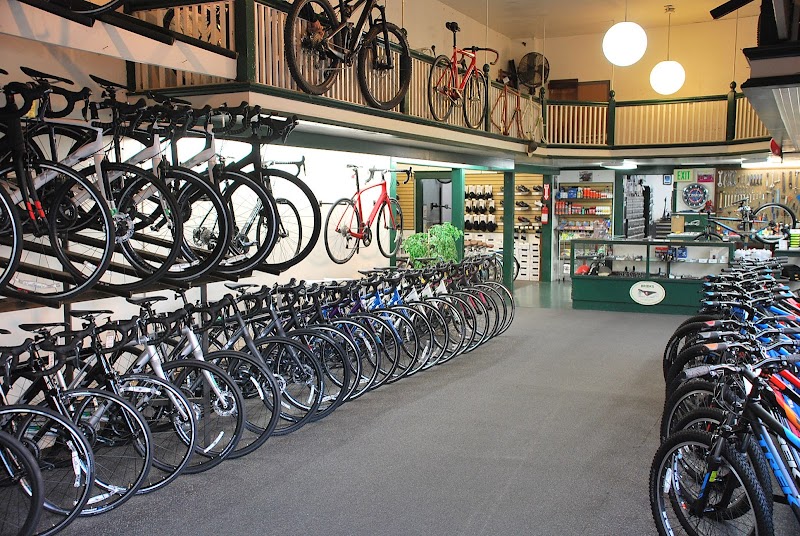 Cycle City Alameda photo 5