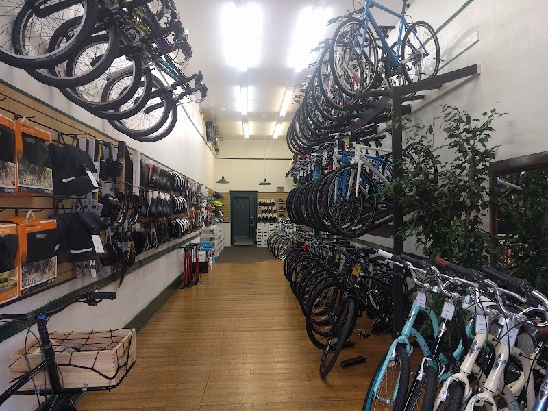 Cycle City Alameda photo 2