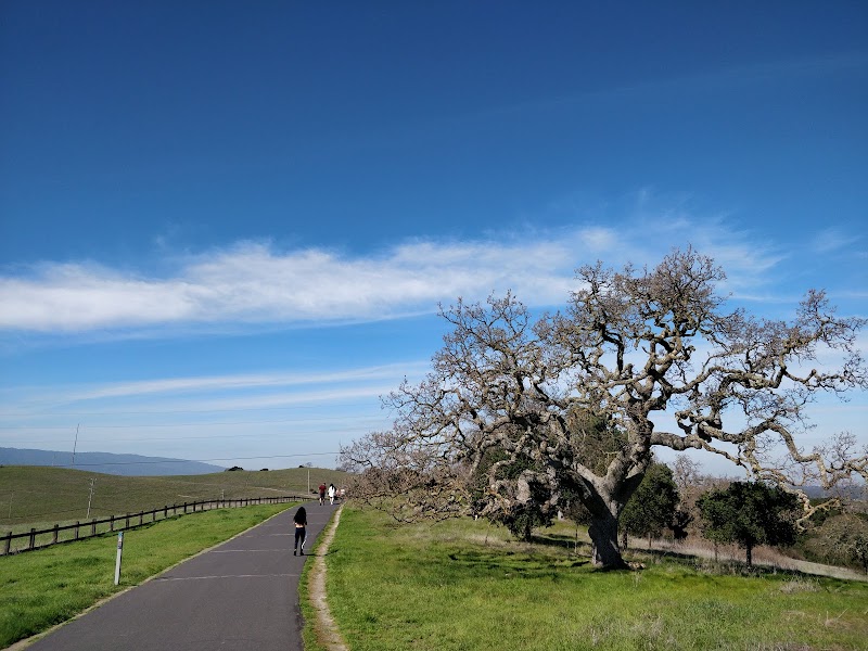 Stanford Dish Parking photo 4