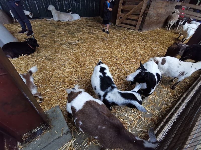 Lemos Farm photo 4