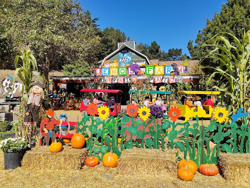 Lemos Farm photo 3