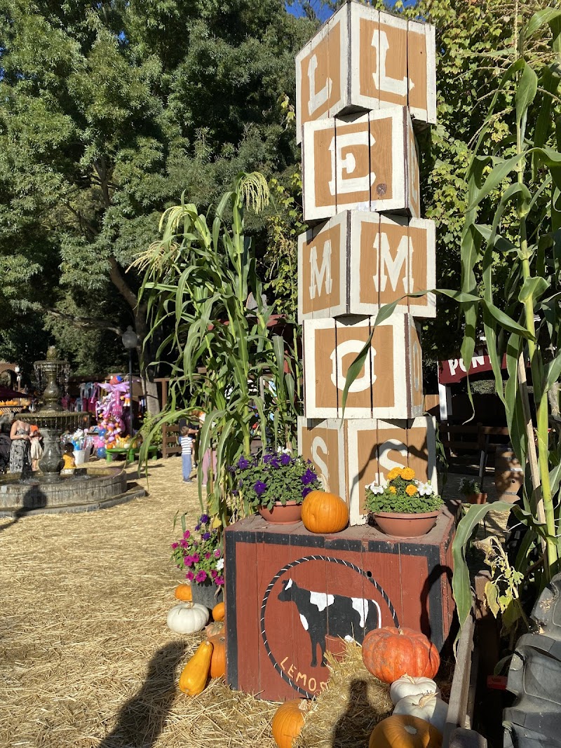Lemos Farm photo 5