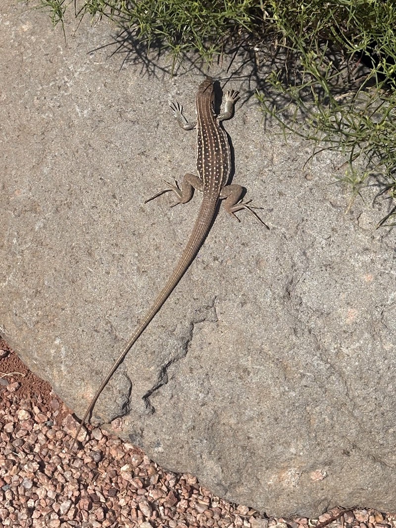 Red Rock State Park Miller Visitor Center photo 5