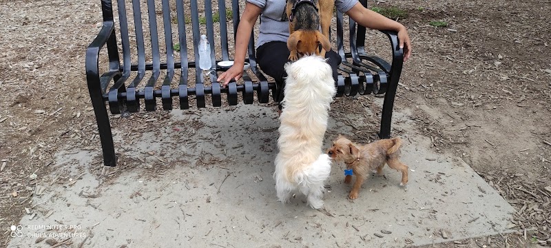 Lake Benson Dog Park photo 5