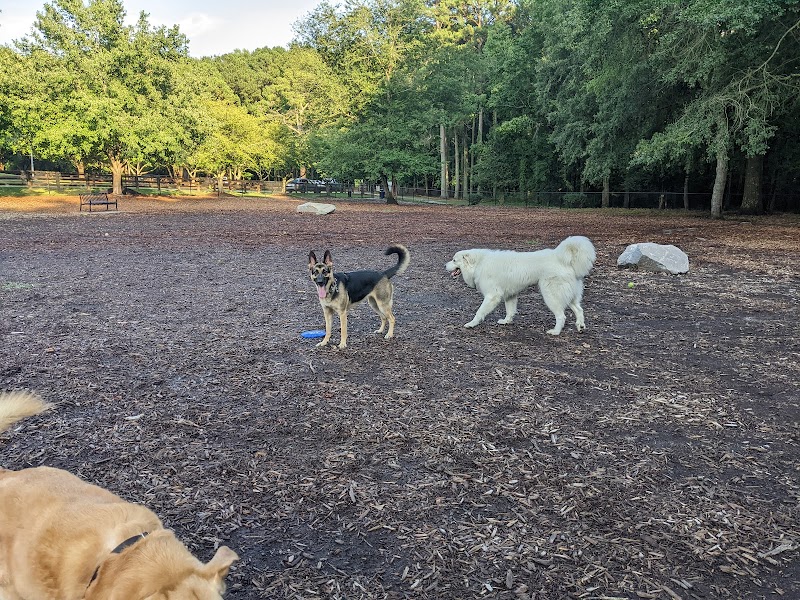 Photo of Lake Benson Dog Park