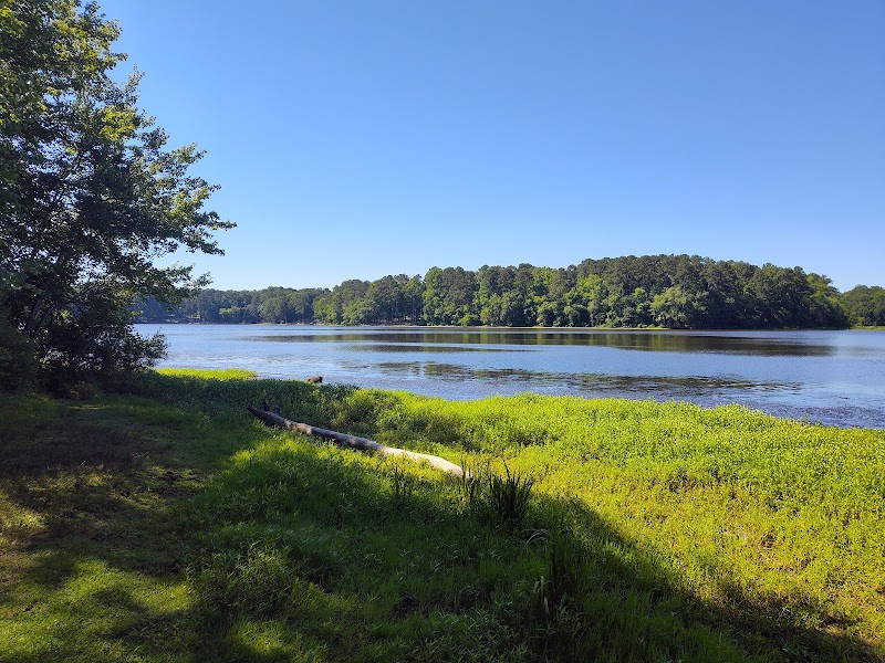 Lake Benson Dog Park photo 3
