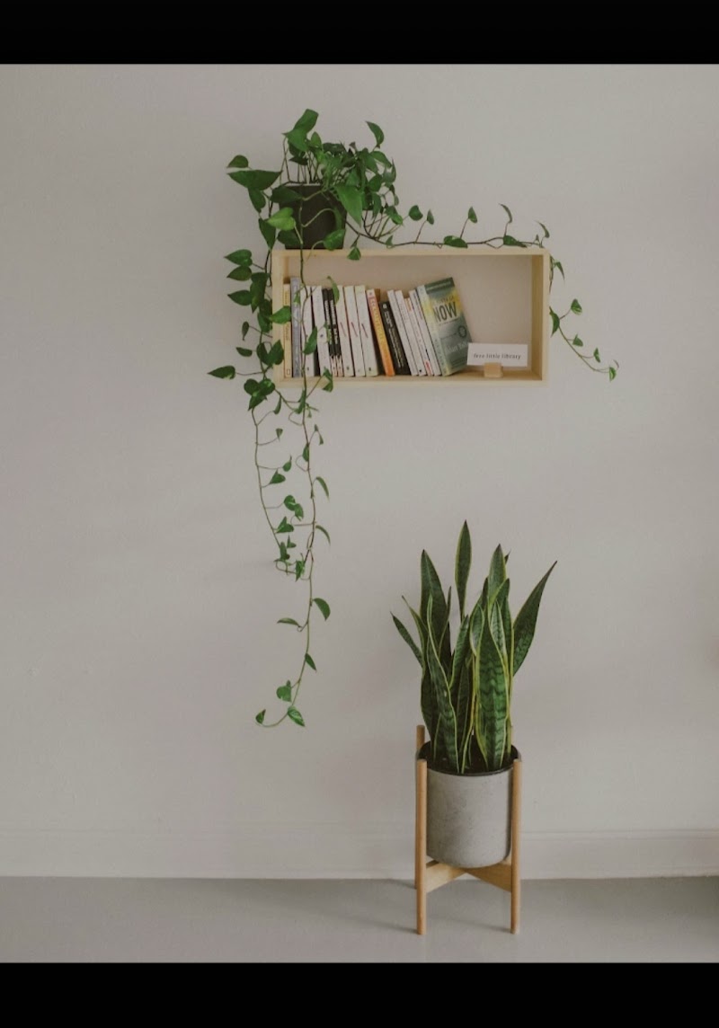 The Studio on Central | Sauna & Cold Plunge photo 4