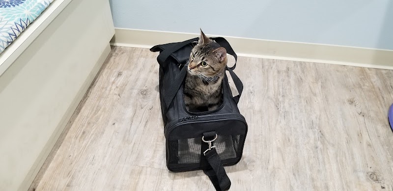 Family Animal Hospital photo 5