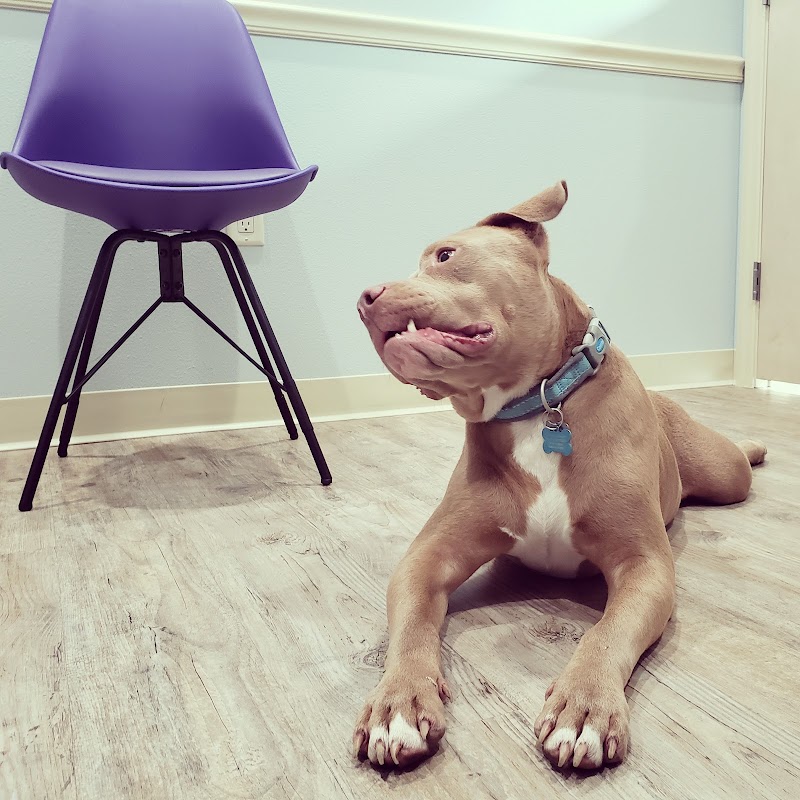 Photo of Family Animal Hospital