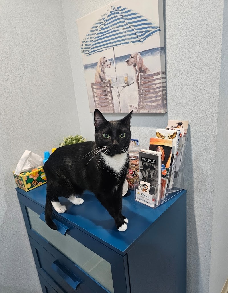 Family Animal Hospital photo 2