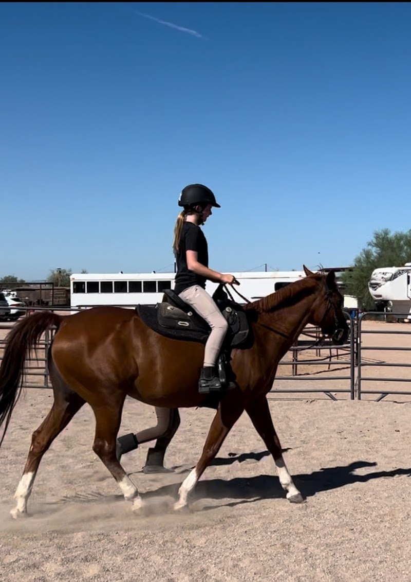 Shadow Ridge Riding Academy photo 2