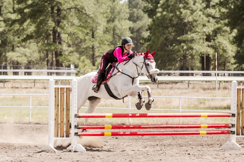 Shadow Ridge Riding Academy photo 4