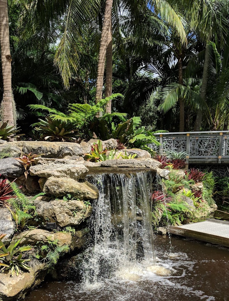 Mounts Botanical Garden photo 2
