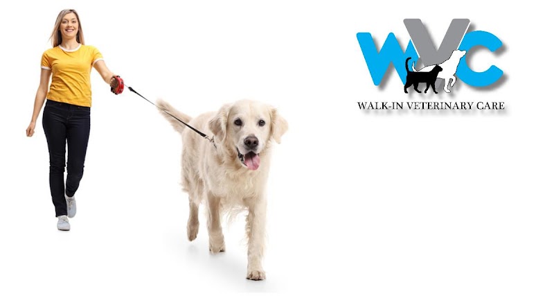 Photo of Walk-In Veterinary Care
