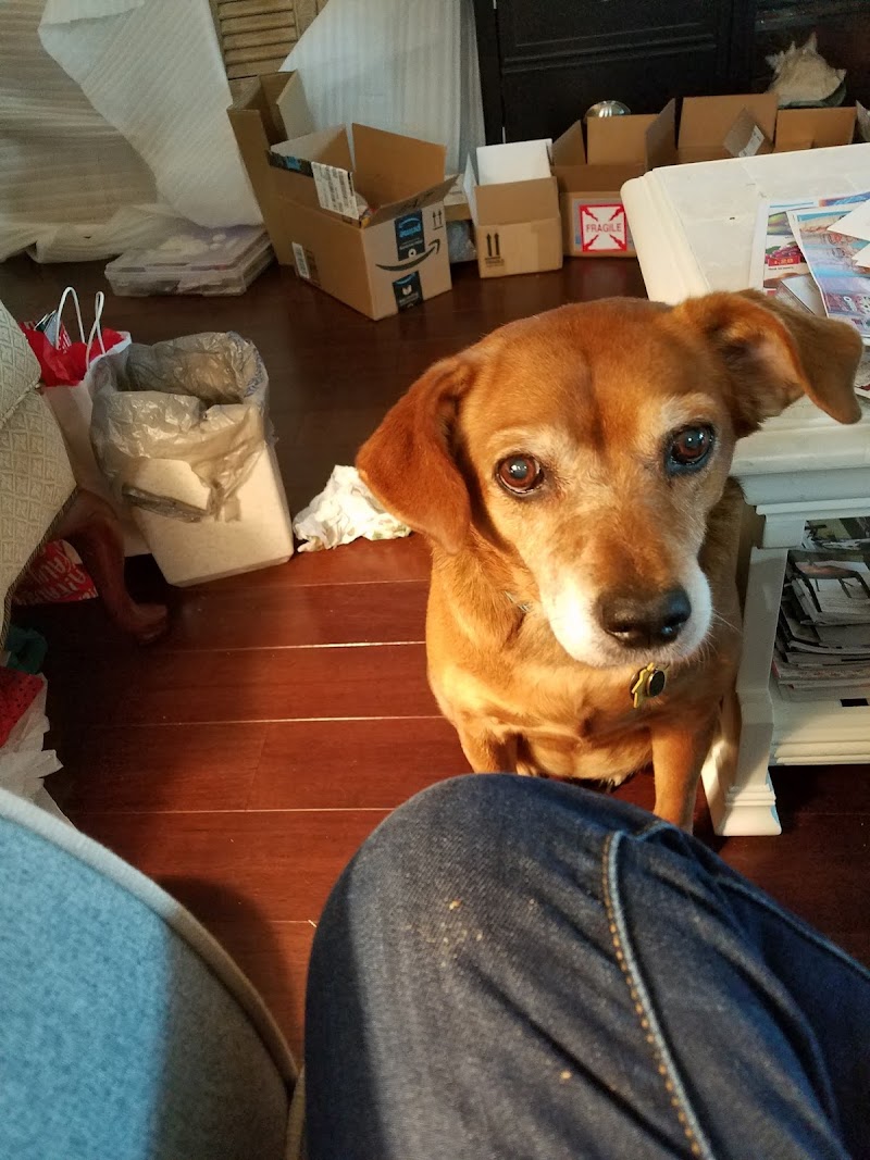 Walk-In Veterinary Care photo 4