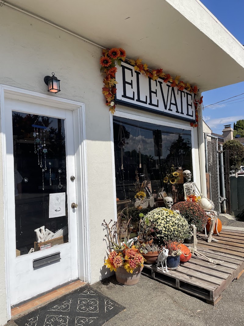 Photo of Elevate Home Decor