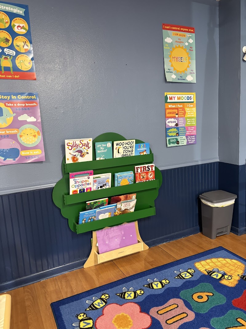 Pinellas Play Gym photo 2