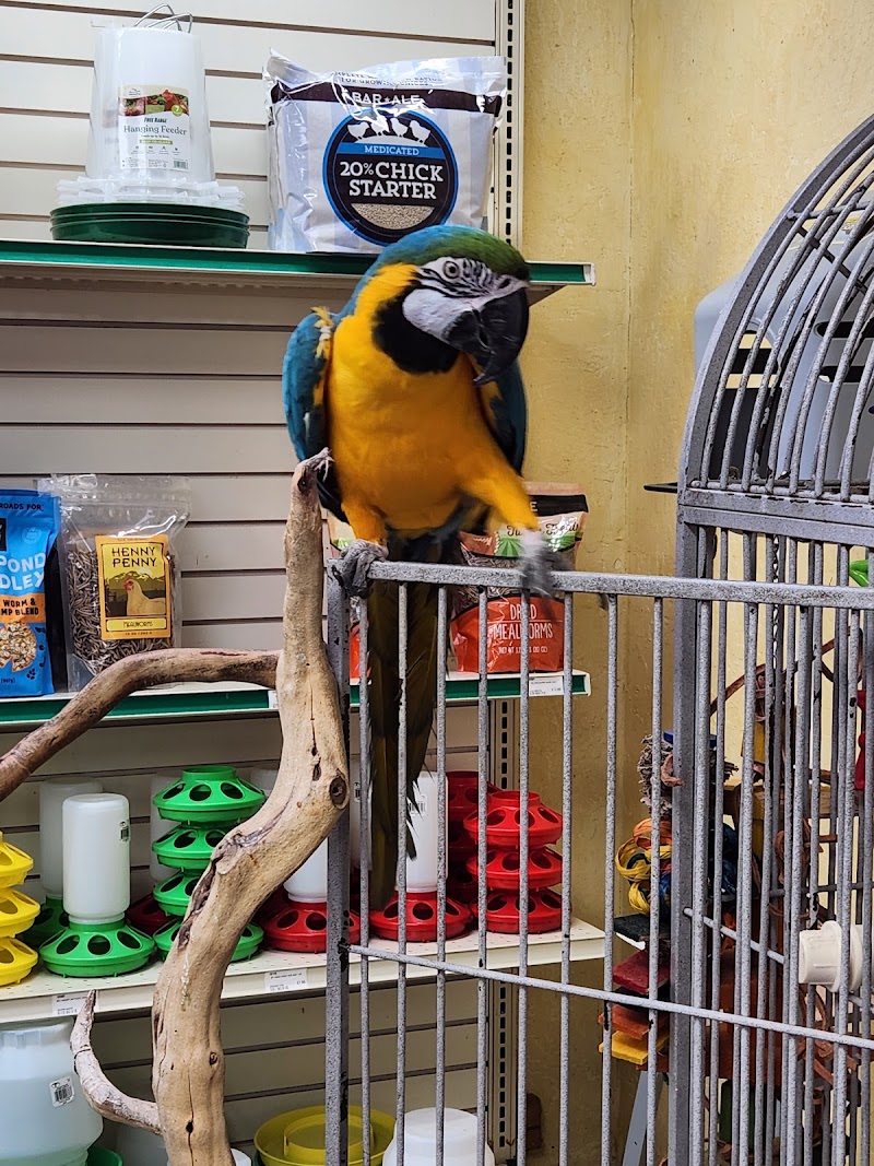 Rodie's Feed & Pet Supply photo 4