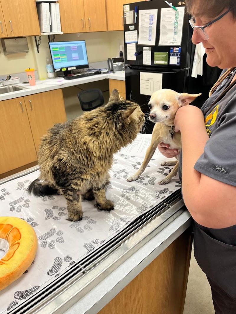 Photo of Pet Life Veterinary Clinic