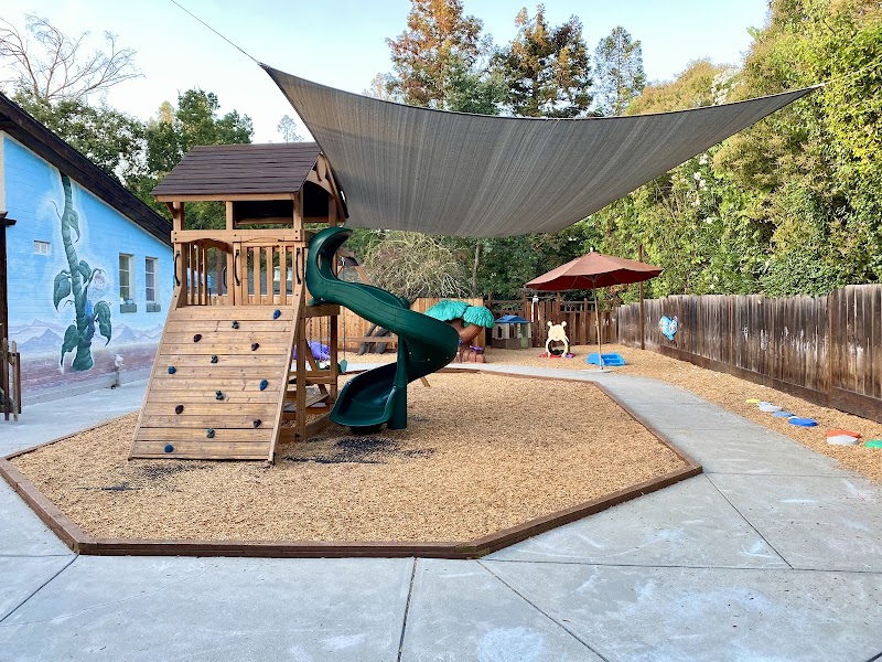 Photo of Alamo Country School